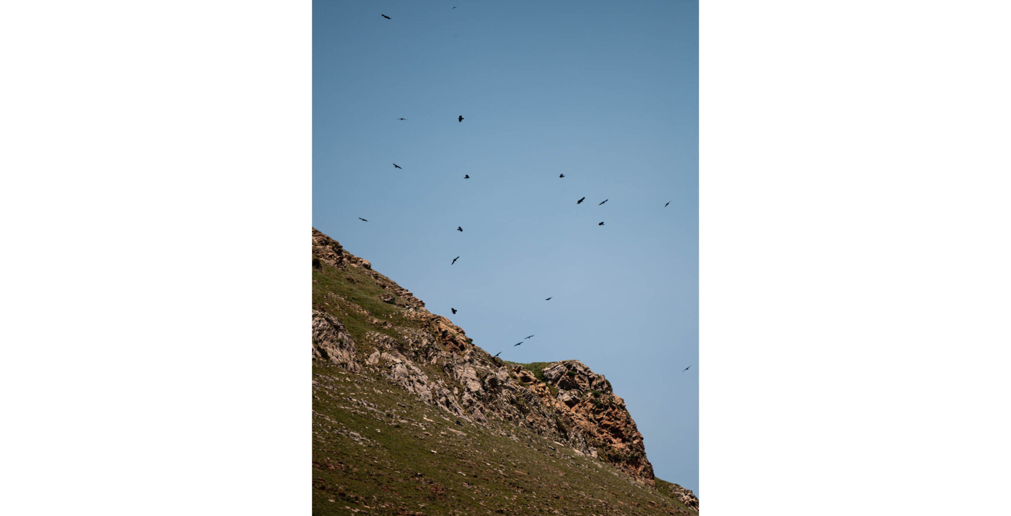 Natuur_fotografie_Wildpakker_Pyreneeen-10